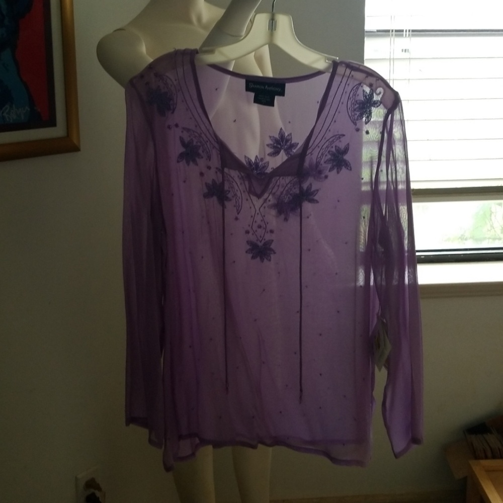 Sheer silk blouse